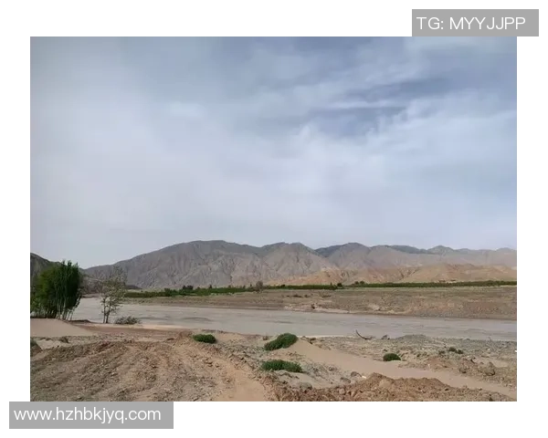 重庆排球队与广州排球队赛后复盘团队协作的成功与不足分析